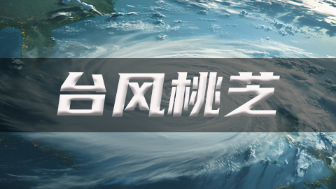 台风实时路径图