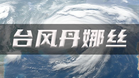 2025年第4号台风丹娜丝