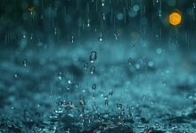 第6号台风“韦帕”或逼近海南 未来三天多云间晴伴雷雨