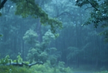 台风“竹节草”深入江苏 未来三天强风雨持续