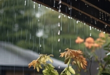 重庆近期持续强降雨 今明两天局地大暴雨
