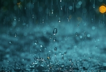 台风“杨柳”明夜将再袭闽粤沿海 广西需防特大暴雨