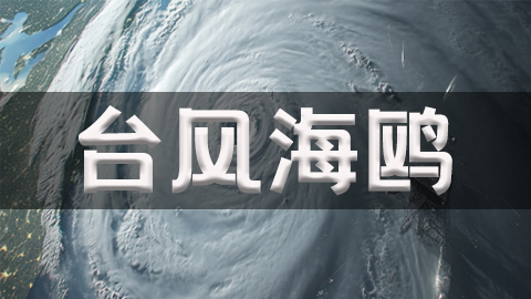 2025年第25号台风海鸥