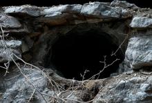 亡父坟墓惊现盗洞 疑有人为盗蜂巢破坏